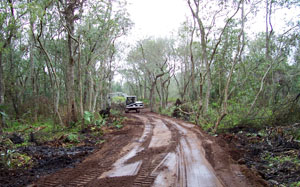 Road Construction through private property to residence