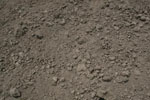 Fill Dirt